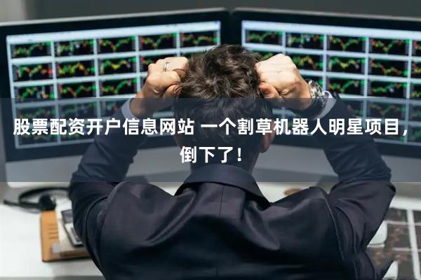 股票配资开户信息网站 一个割草机器人明星项目，倒下了！