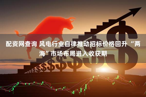 配资网查询 风电行业自律推动招标价格回升 “两海”市场布局进入收获期