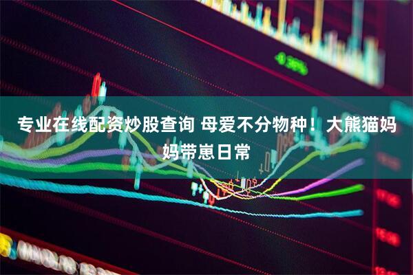 专业在线配资炒股查询 母爱不分物种！大熊猫妈妈带崽日常